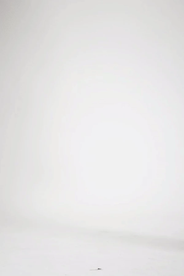 KANCAN Kayden Ultra High Rise Shorts 3 KANCAN Kayden Ultra High Rise Shorts